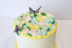 Butterfly Birthday