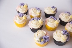 Mother To Bee Cupcakes